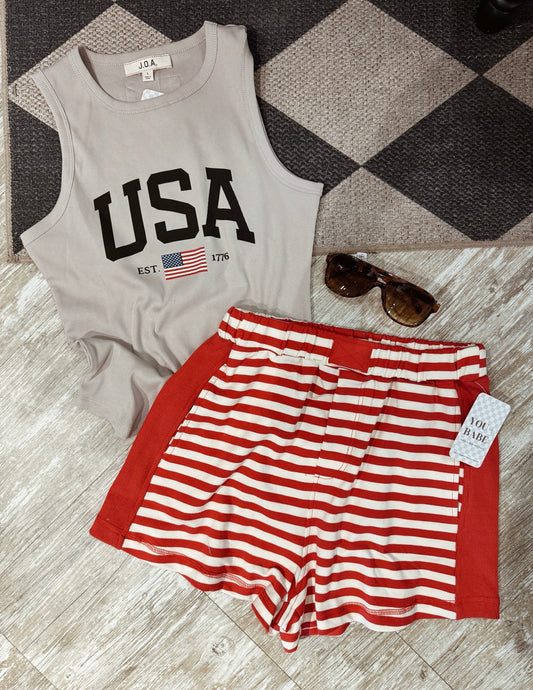 Stripe Colorblock Shorts
